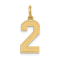 14k Medium Satin Number 2 Charm-LSM02
