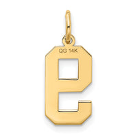 14k Medium Satin Number 9 Charm-LSM09