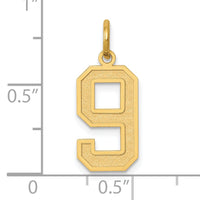 14k Medium Satin Number 9 Charm-LSM09