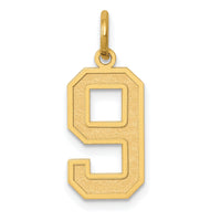 14k Medium Satin Number 9 Charm-LSM09
