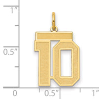 14k Medium Satin Number 10 Charm-LSM10