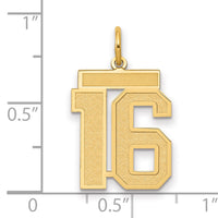 14k Medium Satin Number 16 Charm-LSM16