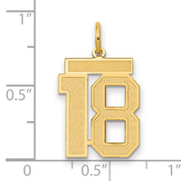 14k Medium Satin Number 18 Charm-LSM18