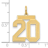 14k Medium Satin Number 20 Charm-LSM20