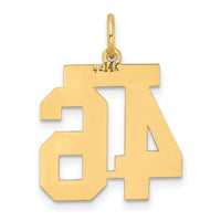 14k Medium Satin Number 46 Charm-LSM46