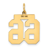 14k Medium Satin Number 66 Charm-LSM66