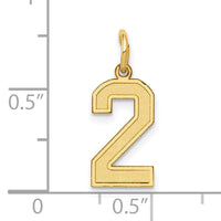 14k Small Satin Number 2 Charm-LSS02