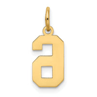 14k Small Satin Number 6 Charm-LSS06