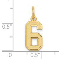 14k Small Satin Number 6 Charm-LSS06
