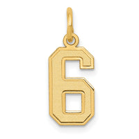 14k Small Satin Number 6 Charm-LSS06