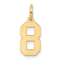 14k Small Satin Number 8 Charm-LSS08