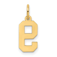 14k Small Satin Number 9 Charm-LSS09