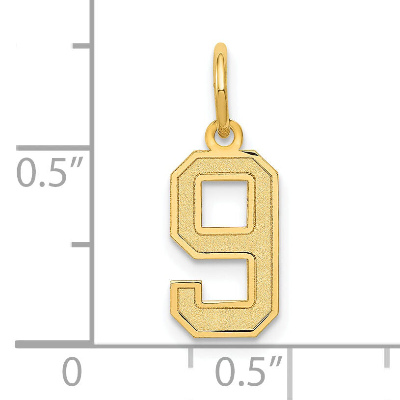 14k Small Satin Number 9 Charm-LSS09
