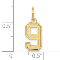 14k Small Satin Number 9 Charm-LSS09