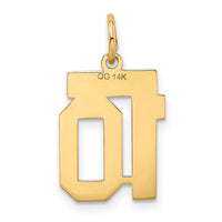 14k Small Satin Number 10 Charm-LSS10