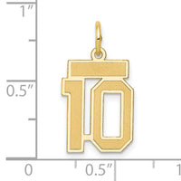 14k Small Satin Number 10 Charm-LSS10