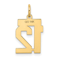 14k Small Satin Number 12 Charm-LSS12
