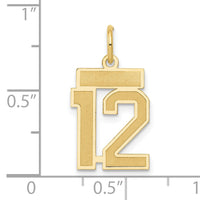 14k Small Satin Number 12 Charm-LSS12