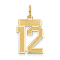 14k Small Satin Number 12 Charm-LSS12