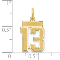 14k Small Satin Number 13 Charm-LSS13