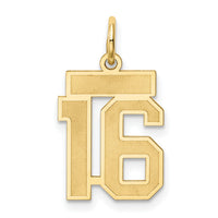 14k Small Satin Number 16 Charm-LSS16