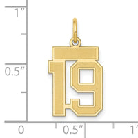 14k Small Satin Number 19 Charm-LSS19