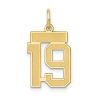 14k Small Satin Number 19 Charm-LSS19