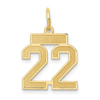 14k Small Satin Number 22 Charm-LSS22