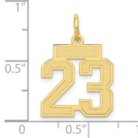 14k Small Satin Number 23 Charm-LSS23