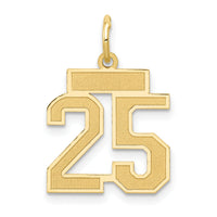 14k Small Satin Number 25 Charm-LSS25
