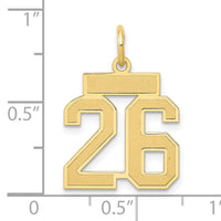 14k Small Satin Number 26 Charm-LSS26