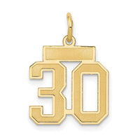 14k Small Satin Number 30 Charm-LSS30
