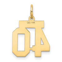 14k Small Satin Number 40 Charm-LSS40