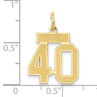 14k Small Satin Number 40 Charm-LSS40