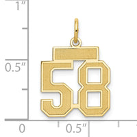 14k Small Satin Number 58 Charm-LSS58