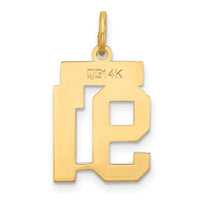 14k Small Satin Number 91 Charm-LSS91