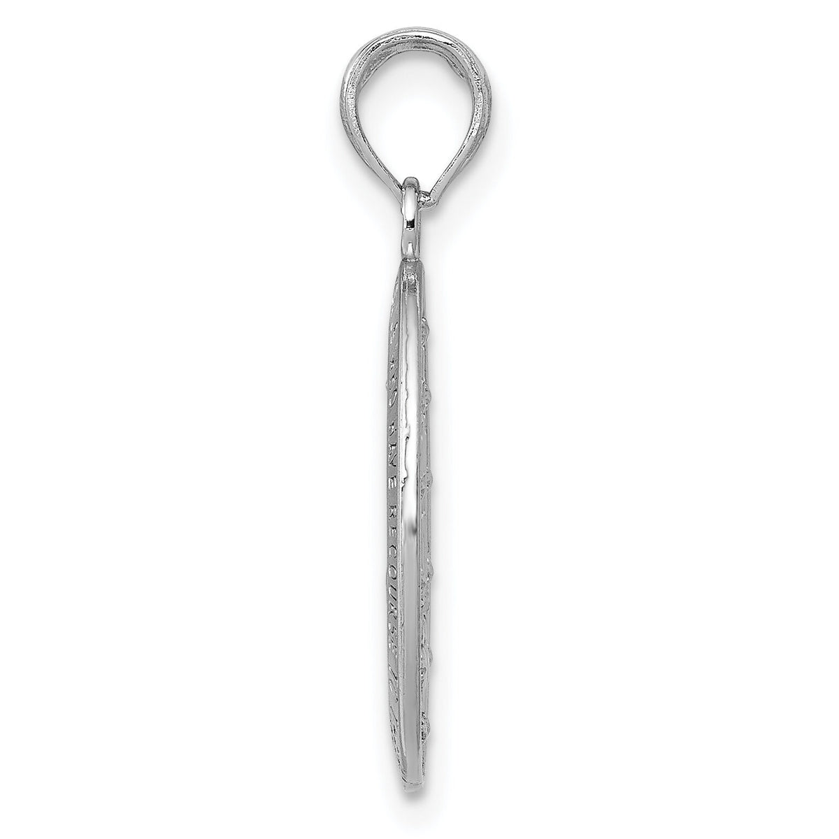 14k White Gold Miraculous Medal Pendant-M1432W