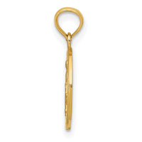 14k Miraculous Medal Pendant-M1436