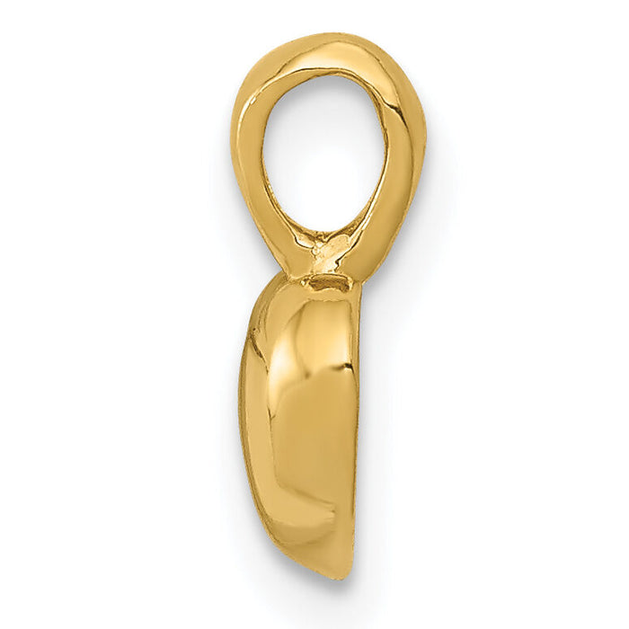 14K Polished Domed Heart Charm-M2076