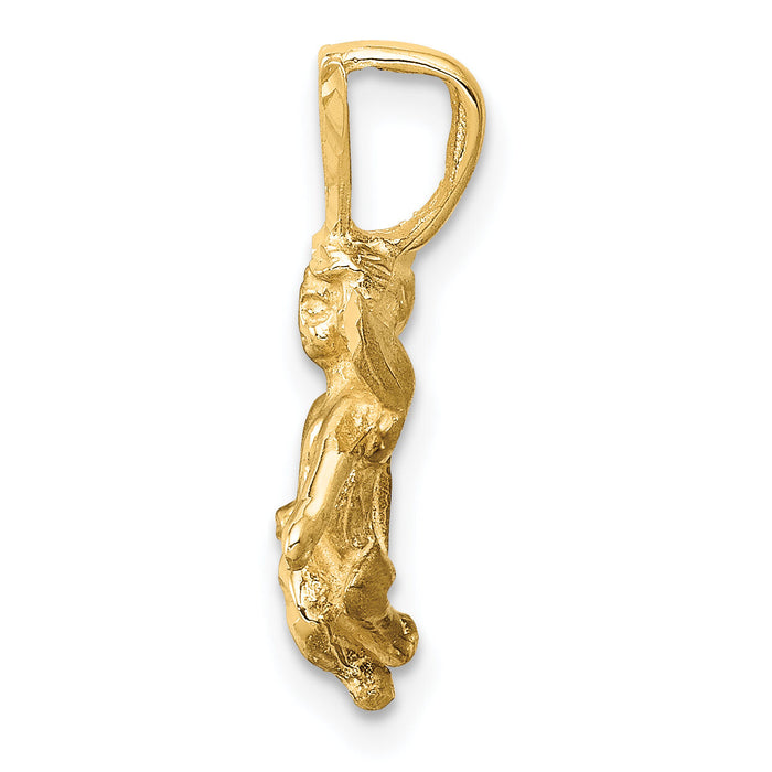 14k  3D Satin and Diamond-Cut Angel Charm-M246