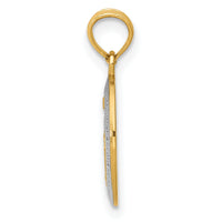 14k w/Rhodium Miraculous Medal Charm-M2516