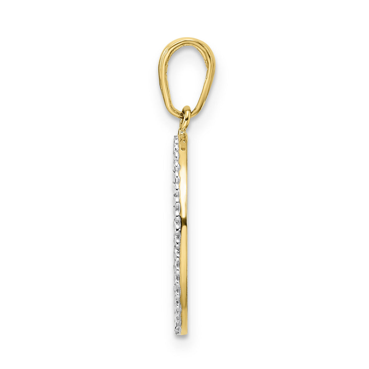 14k and White Rhodium Diamond-cut Dog in Oval Pendant-M2916