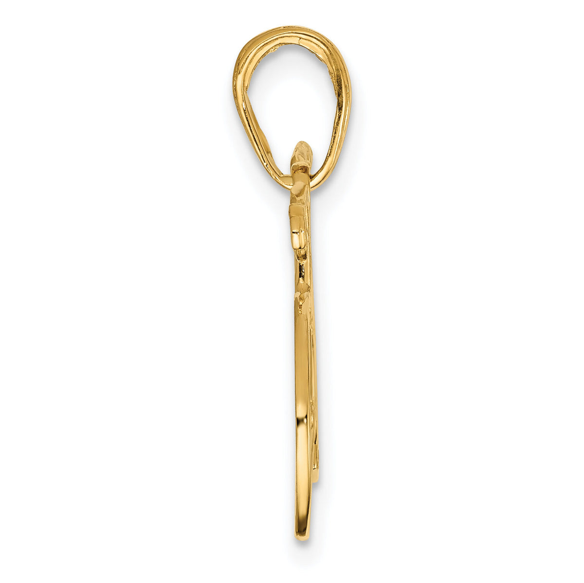 14k Polished Bicycle Charm-M530