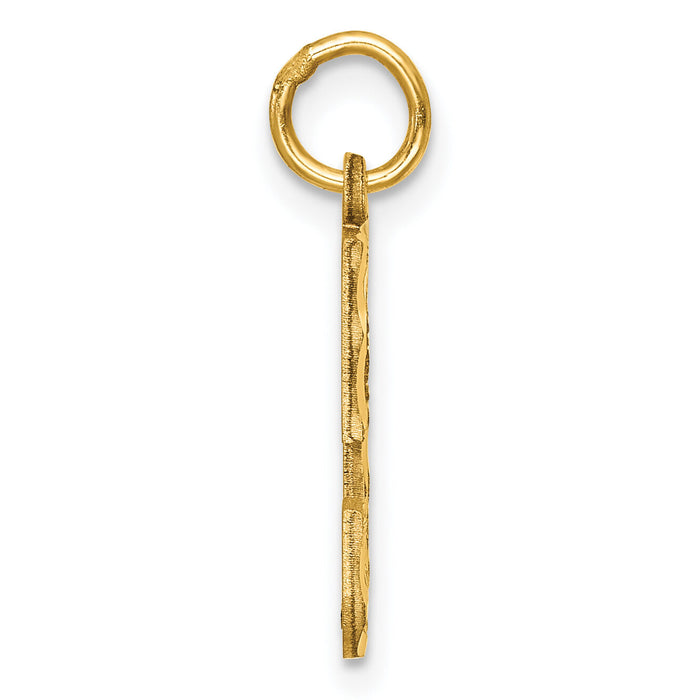 14k Medium Diamond-cut Number 5 Charm-MN05