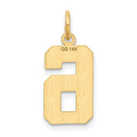 14k Medium Diamond-cut Number 6 Charm-MN06