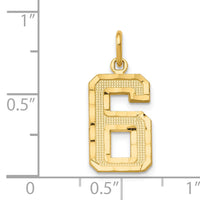 14k Medium Diamond-cut Number 6 Charm-MN06