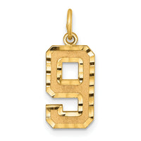 14k Medium Diamond-cut Number 9 Charm-MN09
