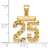 14k Medium Diamond-cut Number 25 Charm-MN25