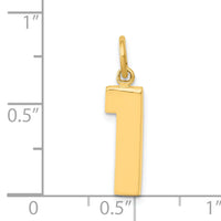 14k Medium Polished Number 1 Charm-MP01
