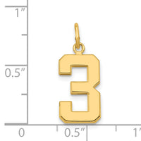 14k Medium Polished Number 3 Charm-MP03